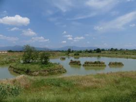 Convenzione Wwf