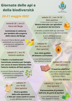 giornata api 